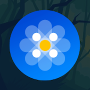 Anum Icon Pack v 1.0.4 APK Patched