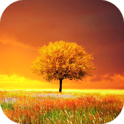 Awesome-Land Pro Live wallpaper v 3.1.4 APK
