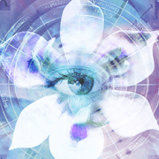 Blue Iris v 2.0.66 APK