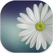 Gallery Lite No Ads 1.2.1 APK