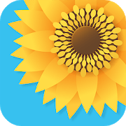 Gallery Photo Gallery &amp; Video Gallery 1.33 PRO APK