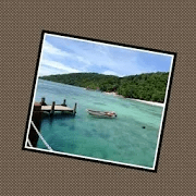 Photo Widget + 15 APK Paid