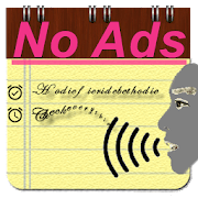 Voice Notes (No Ads) 3.82 pro APK Paid