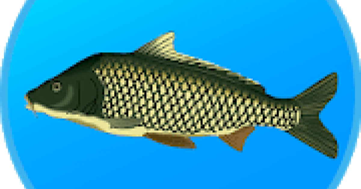 игра реальная рыбалка. честная рыба бар. реальная рыбалка. True fish. честная рыба.