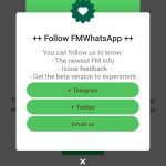 Fouad WhatsApp image Thumbnail