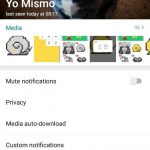 GBWhatsApp image Thumbnail