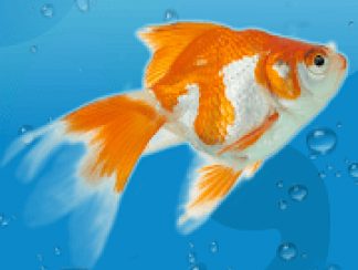 AquaLife 3D v 1.5.5 hack mod apk (Money)