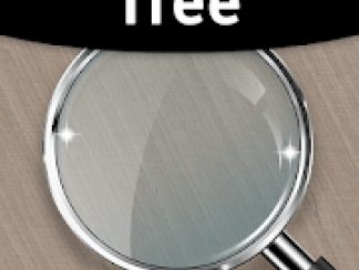 Magnifier Plus Magnifying Glass with Flashlight 4.2.0 Premium APK