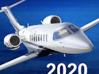 Aerofly FS 2020 v 20.20.13 apk (full version)