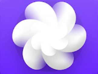 Bloom Icon Pack 3.1 APK Patched