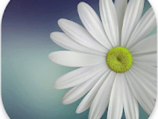 Gallery Lite No Ads 1.2.1 APK