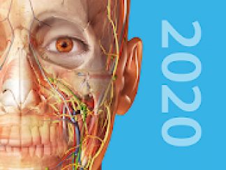 Human Anatomy Atlas 2020 Complete 3D Human Body 2020.0.73 APK Free Iaps