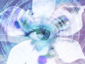 Blue Iris 2.0.70 APK