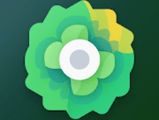 Moxy Icons 6.3 APK Patched