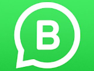 WhatsApp Business v 2.19.105 APK