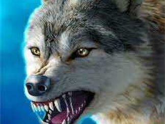 تنزيل لعبة The Wolf للاندرويد apk