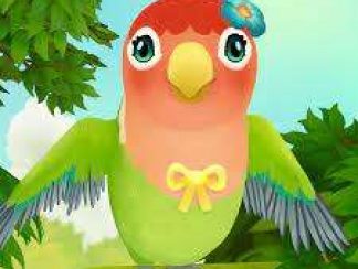 تنزيل لعبة Bird BnB للاندرويد apk