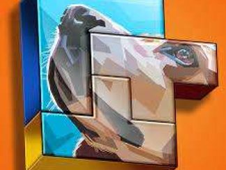 تنزيل لعبة Photo Block Puzzle for FREE : Infinite stage للاندرويد apk