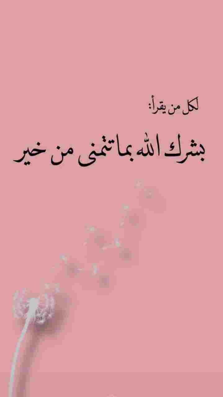كلمات مشاعر وحدانيه حالات وتس اب 2022