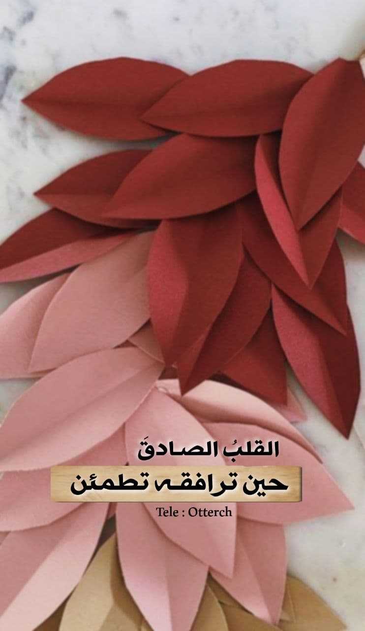 كلمات وصور جميله حالات وتس اب