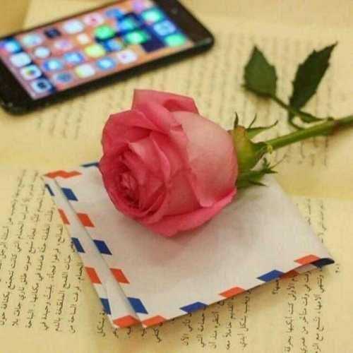 عبارات ورسائل حب حالات وتس اب 2022