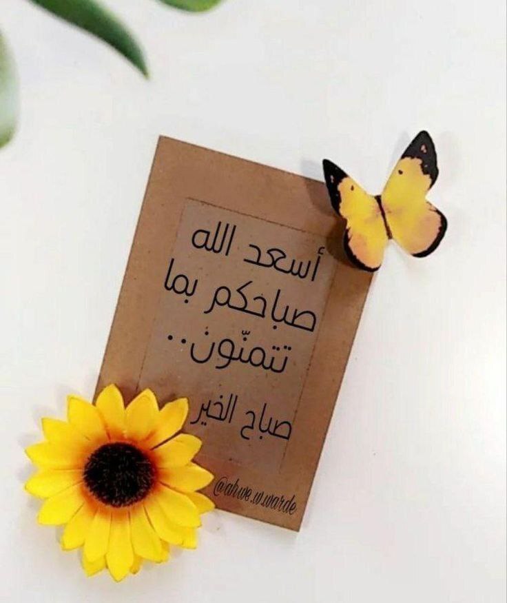 صباحيات جميله 2024